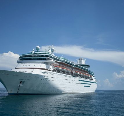 Offrez-vous une croisière inoubliable en Antarctique à petit prix !